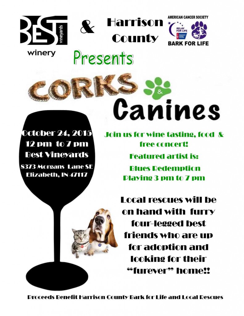 Cork and Canines Flyer